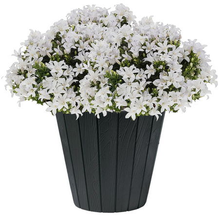 Plant pot/flower pot Wood Style - plastic - darkgrey - outdoor - D40 x H37 cm