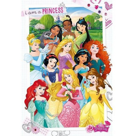 Poster Disney prinsessen 61 x 91,5 cm