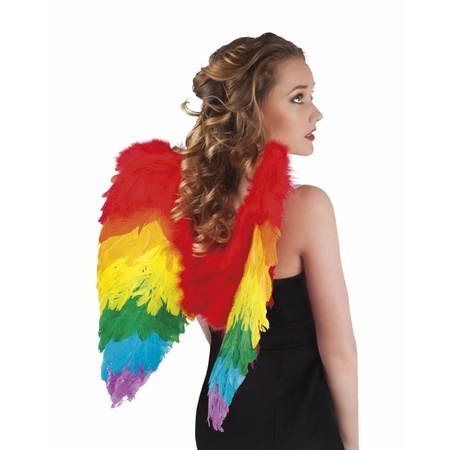 Rainbow feathers wings 50 cm