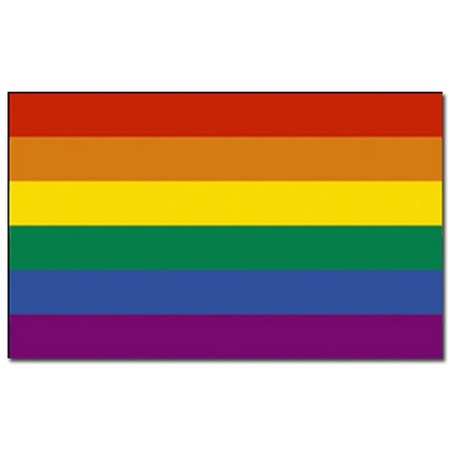 Rainbow flag 90 x 150 cm with two free rainbow stickers