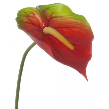 Red and green anthurium artificial flower 78 cm