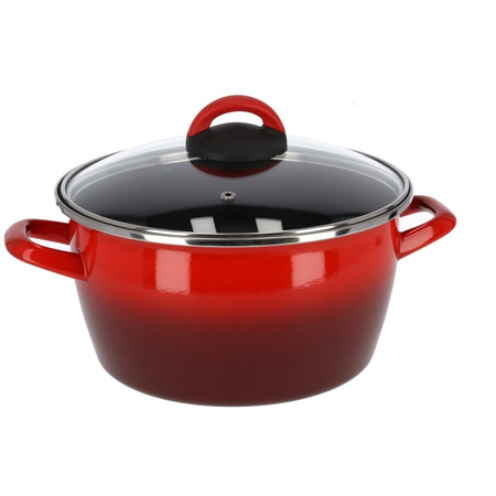 Rvs rode kookpan/pan met glazen deksel 24 cm 10 liter