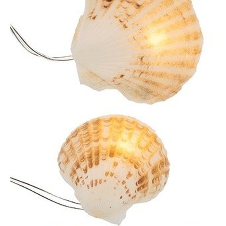 Seashells LED light cord 1 meter