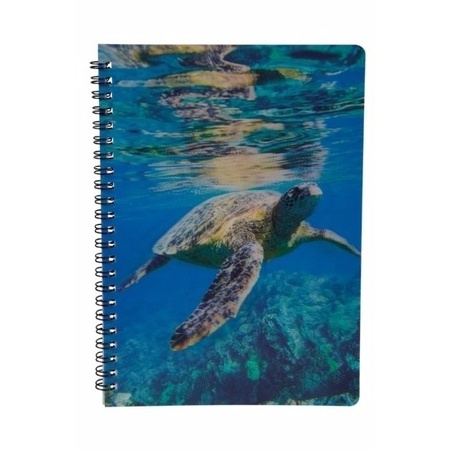 Turtle theme notebook 3D 21cm