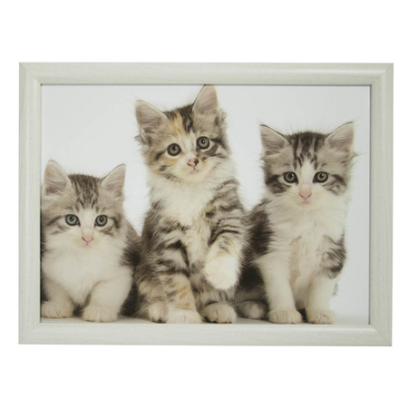 Schootkussen/laptray 3 katten/poezen kittens print 43 x 32 cm