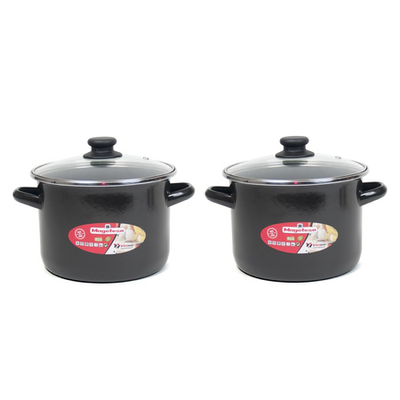 Set of 2x pieces stainless steel cooking pan with glass lid 18 cm 3 liters