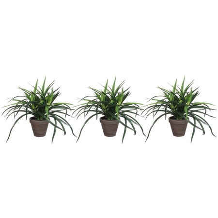 Set of 3x pieces artificial Dracaena plants green in brown pot 34 cm 