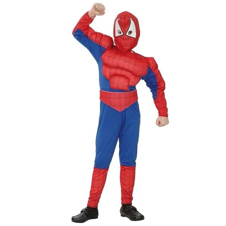 Spider hero costume for boys