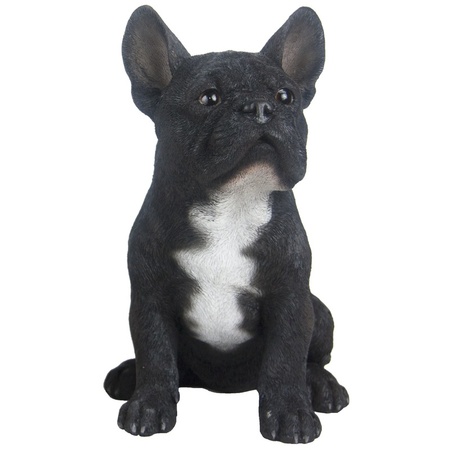 Tuinbeeld Franse Bulldog hond zwart 29 cm