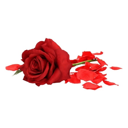 Valentijnscadeau rode roos 31 cm met rozenblaadjes