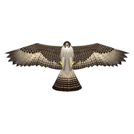 Valk roofvogel vogel verschrikker 112 x 50 cm