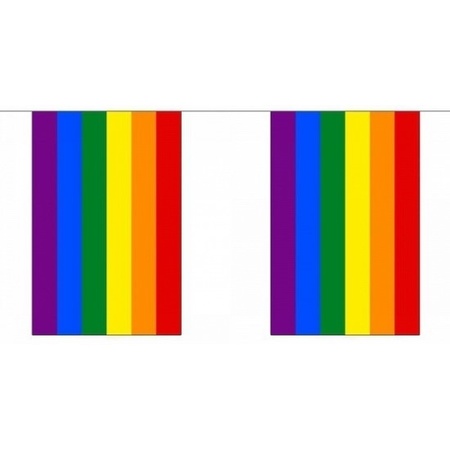 Vierkante regenboog vlaggenlijn 18 m