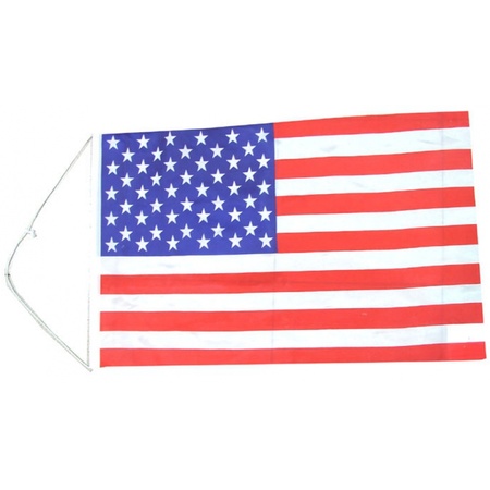Vlag Amerika 60 x 40 cm