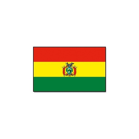 Vlag Bolivia 90 x 150 cm feestartikelen
