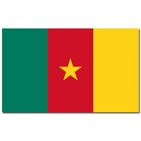 Flag Cameroon 90 x 150 cm