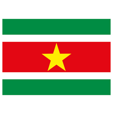 Vlag Suriname stickers 7.5 x 10 cm