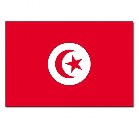 Vlag Tunesie 90 x 150 cm feestartikelen