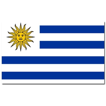 Vlag Uruguay 90 x 150 cm feestartikelen
