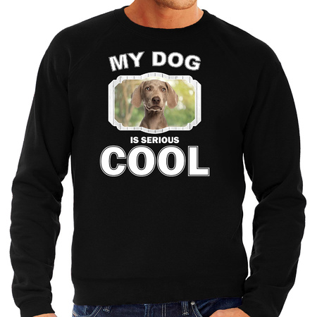 Weimaraner  honden sweater / trui my dog is serious cool zwart voor heren