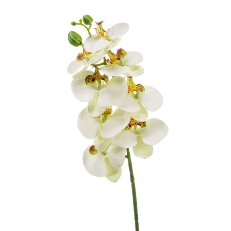 Witte Phaleanopsis/vlinderorchidee kunstbloem 70 cm