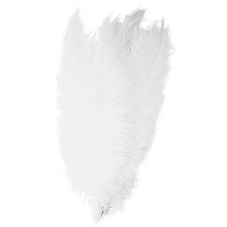 Large feathers 50 cm white