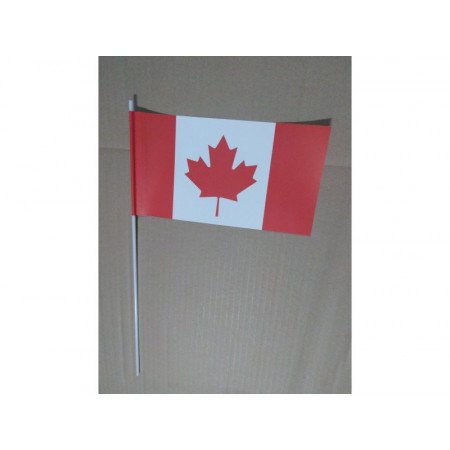 Hand wavers with Canada flag