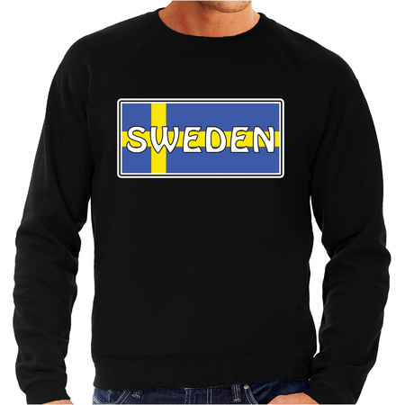 Sweden sweater black for men