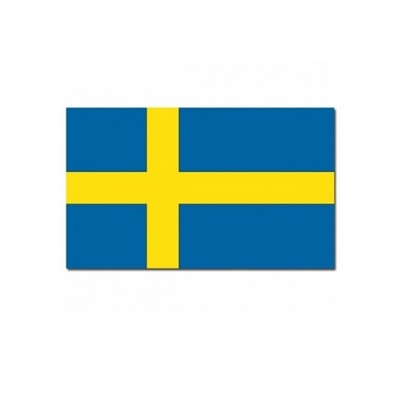 Zweden versiering pakket